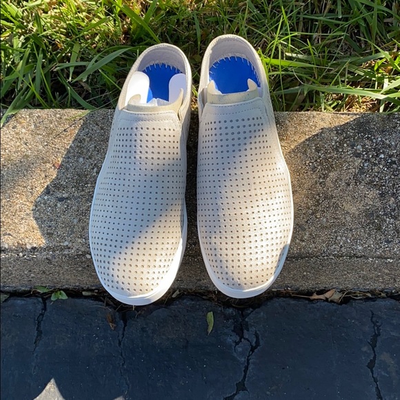 dr scholls madi mule